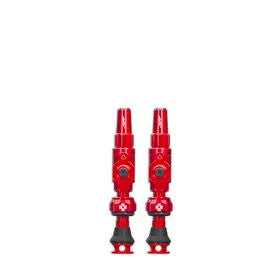 725463_t