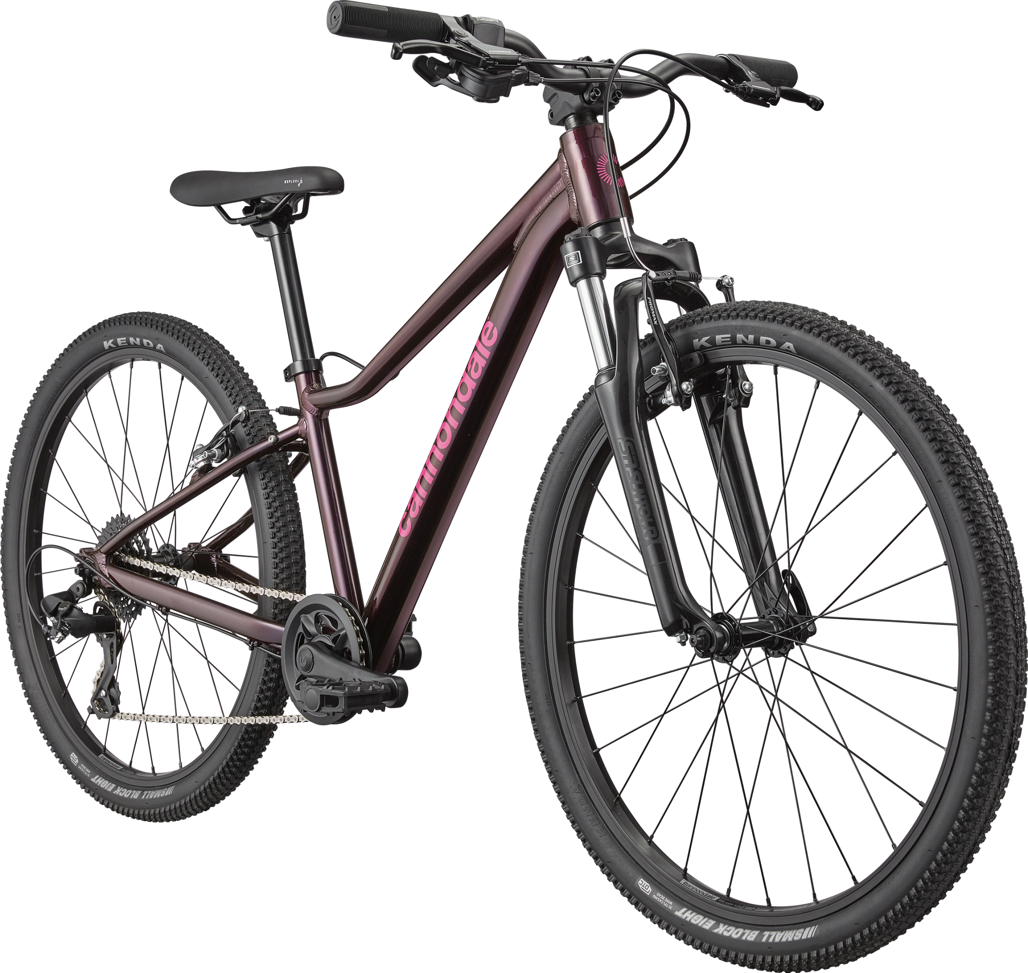 Cannondale Kids Trail 24 2026 Royal Purple #2