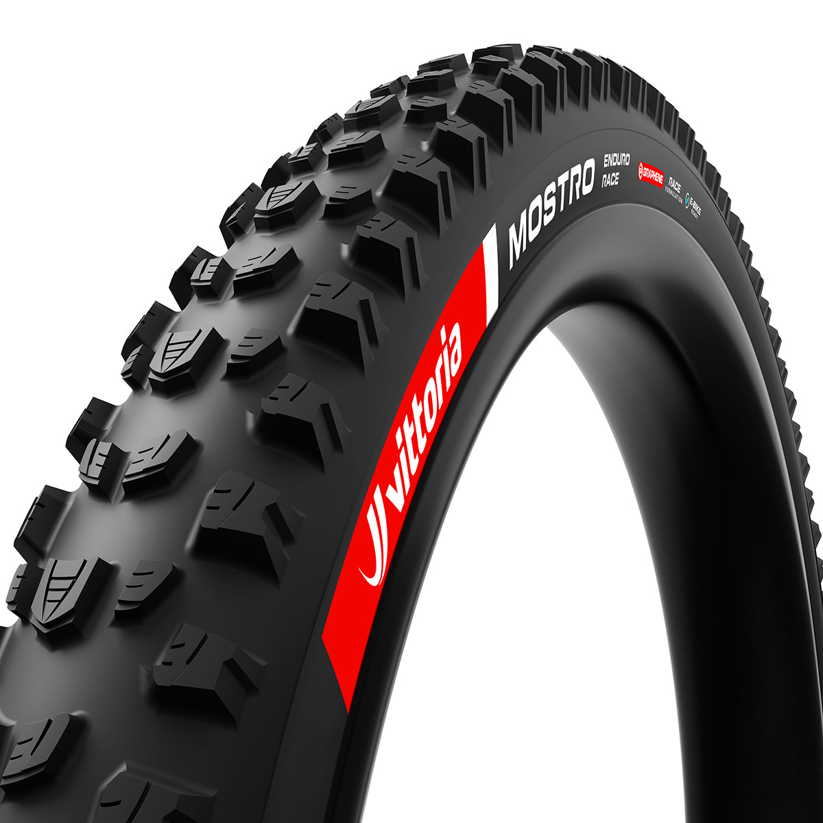 Cubierta Vittoria MTB Mostro Race TLR G2 Negro