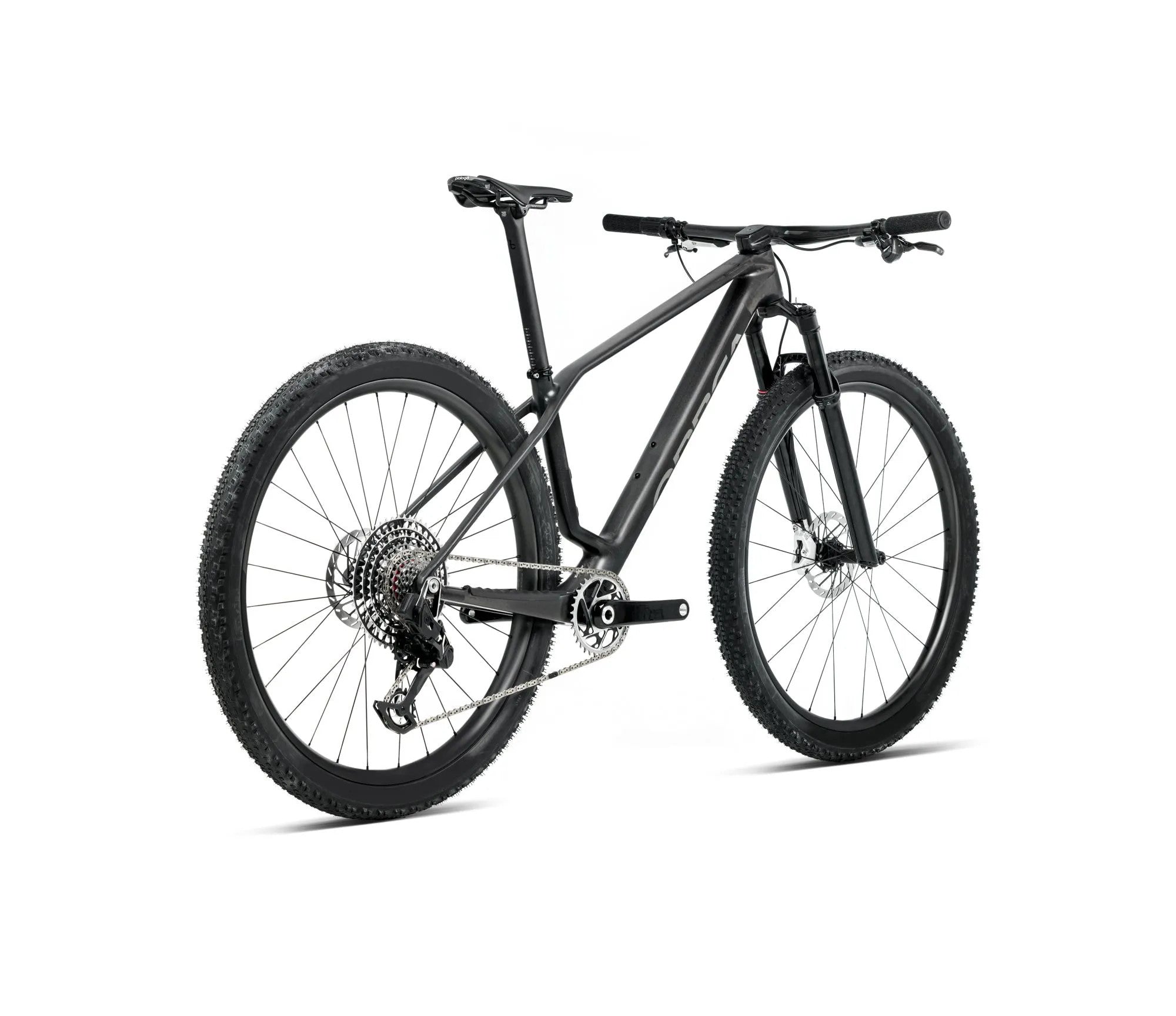 T218TTCC-FB-BACK-ALMA_MLTD