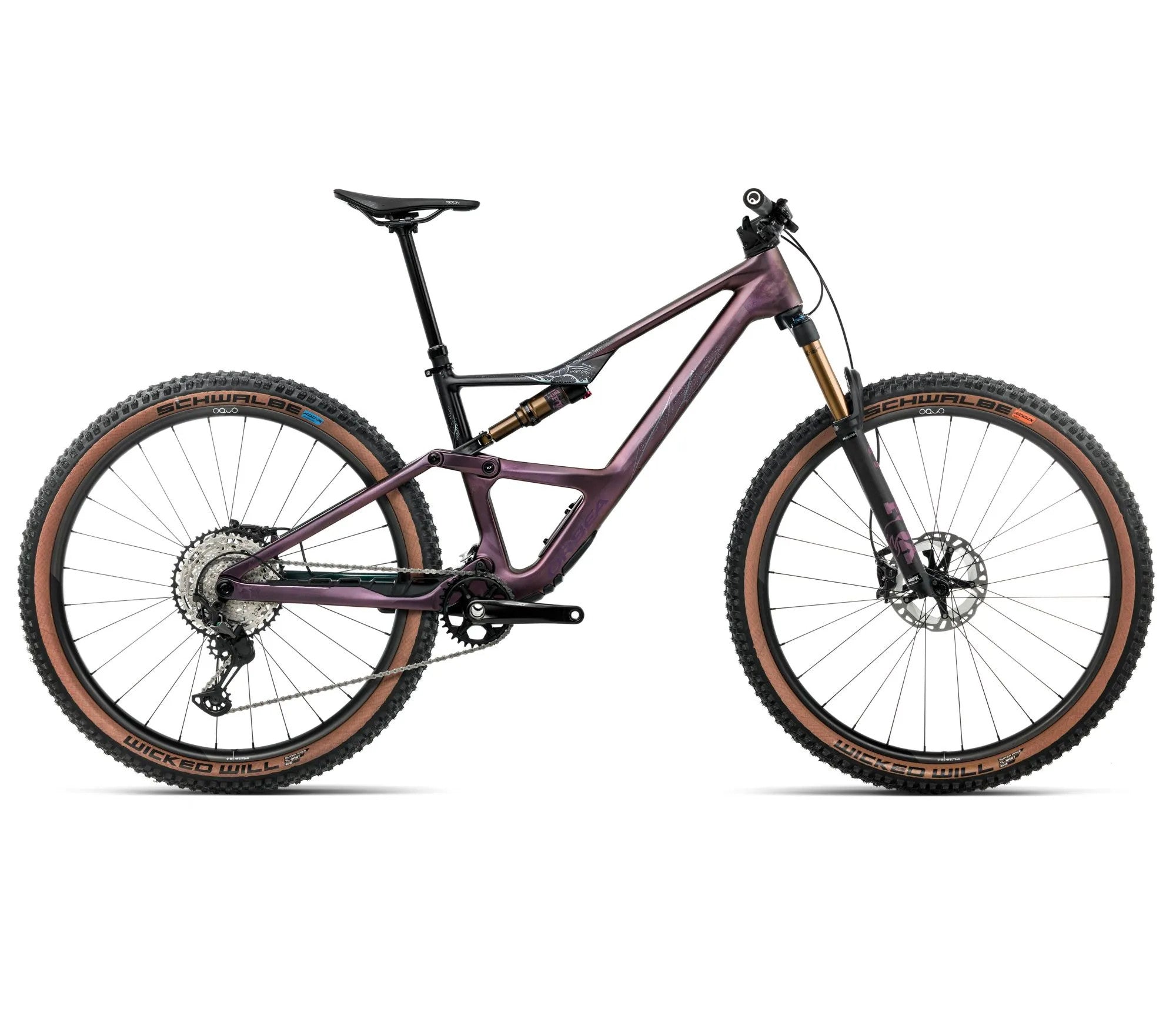 T241TTCC-M3-SIDE-OCCAM_SL_M10