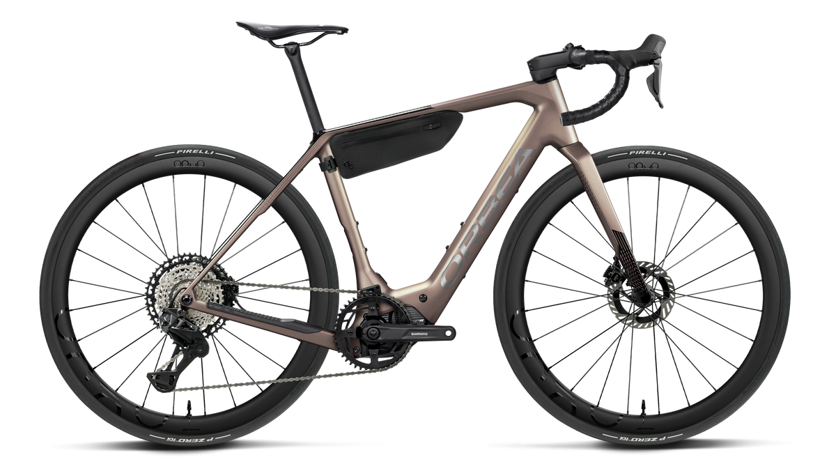 Orbea Denna M10i 2027 Nickel Matt/Carbon Raw Gloss
