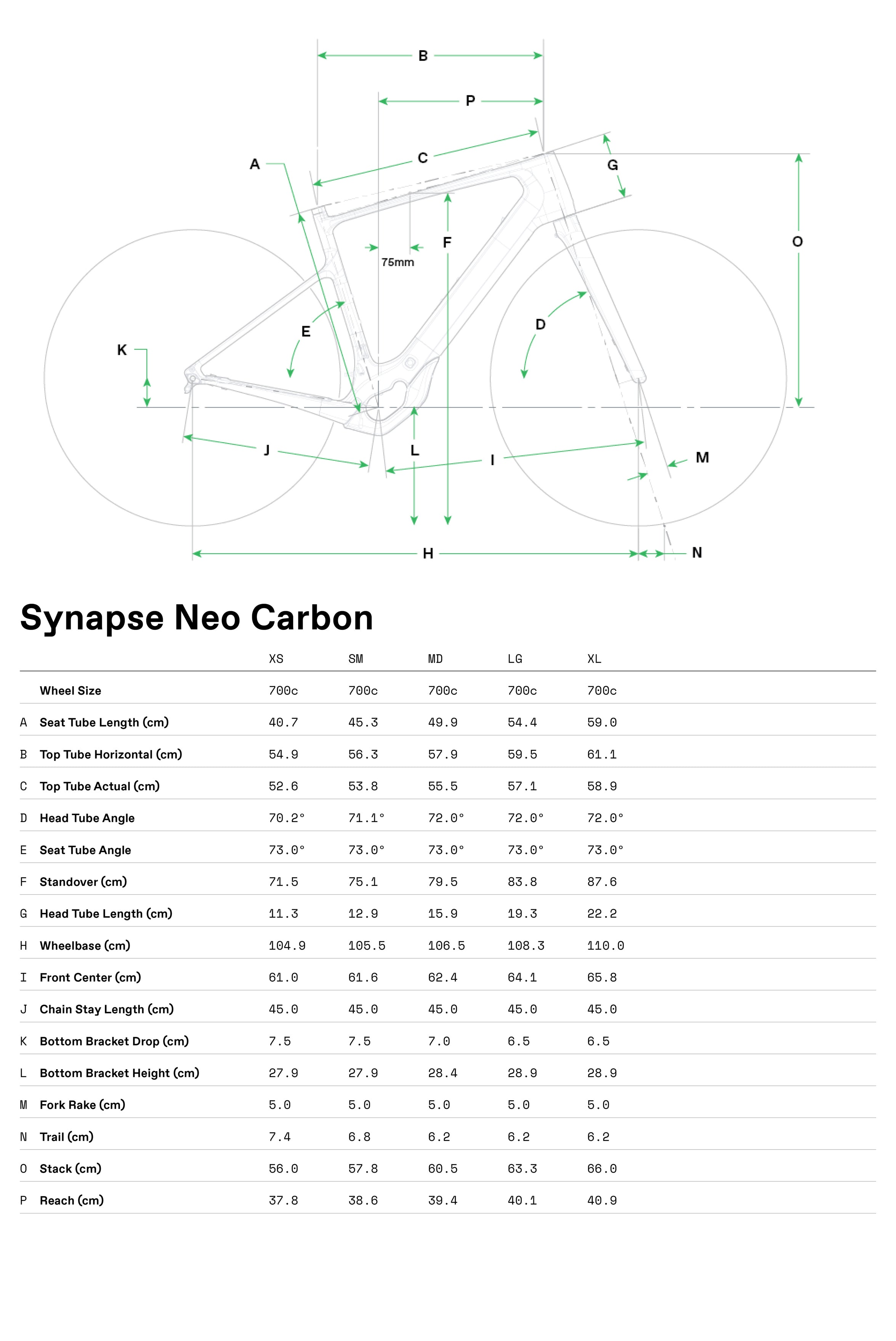 Bicicletas Carretera Synapse Neo Cannondale 2024 Negro #7