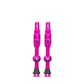 725490_t