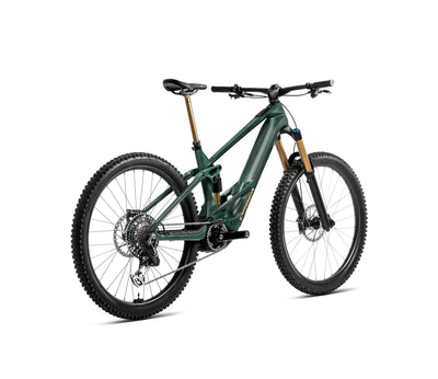 S349TTCC-X3-BACK-WILD_MLTD