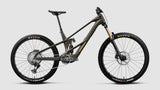 Orbea Wild LT M-Team RS Mullet 2027 Magic Gold C. View Matt/Titan Gold Gloss