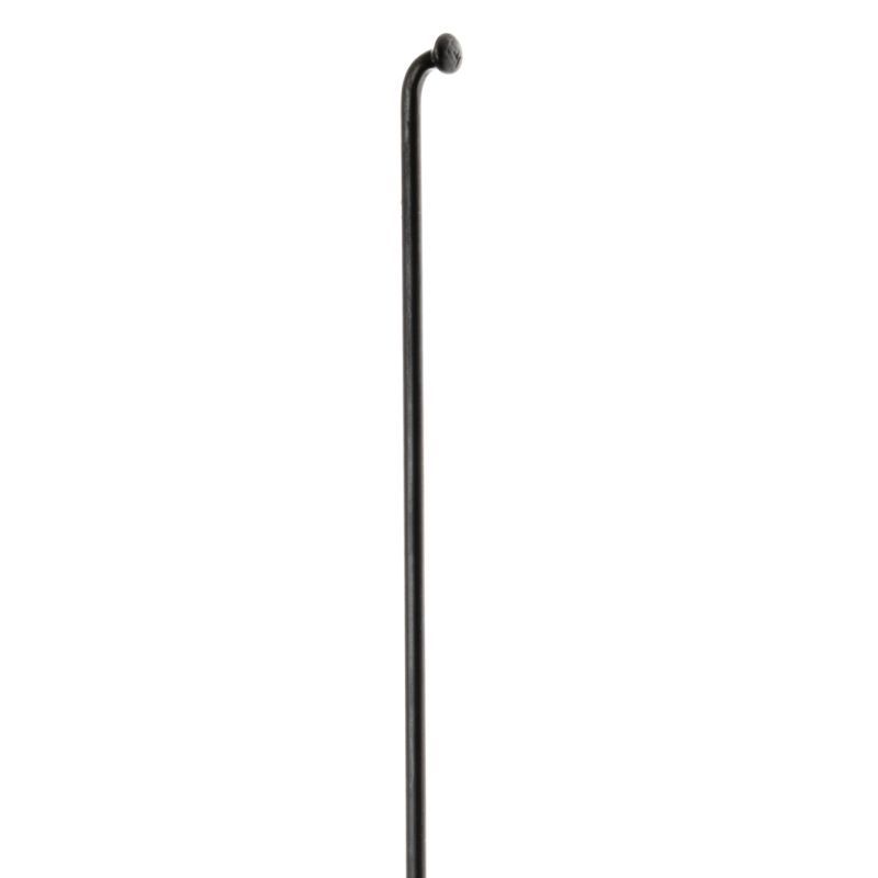 Radios Dt Champion 295x2mm Sin Cabecillas Negro 1 Unidad