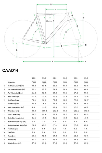 Cannondale CAAD14 1 2026 Gris - Geometría