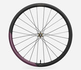 Oquo Vorderrad Gravel RP35LTD Metallic Mulberry