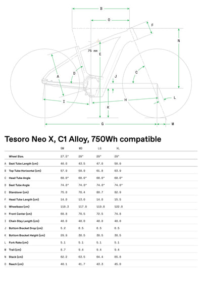 Tesoro Neo X 1 Deore Cannondale 2024 Grey #9